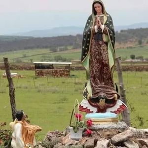 Meet your Posher, Rogelio